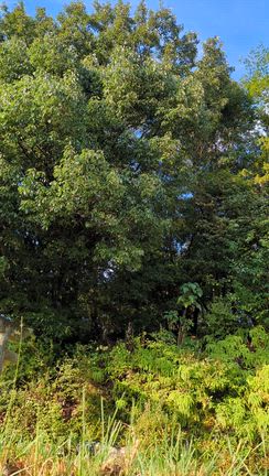 意外な展開(≧▽≦)の記事動画