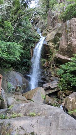 ういちゃんの珍道中  2の記事動画