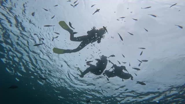 週末までの～私の予定の記事動画