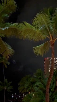 2024〜2025行く年来る年　8の記事動画