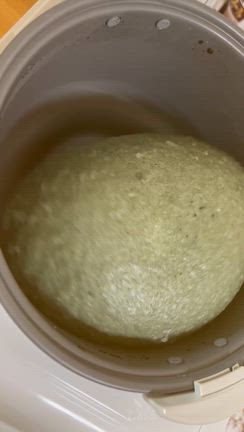 自動餅つき機で草餅作りの記事動画