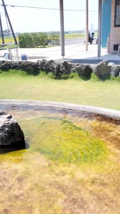 うなぎを狩るところから始まる うな重ツーリングの記事動画