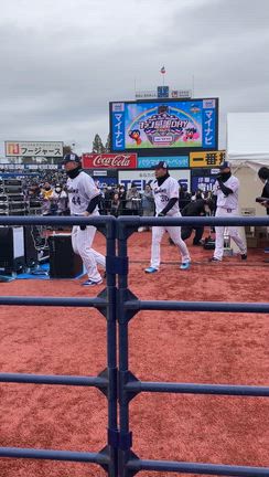 ヤクルトファン感最高に面白かった　1の記事動画