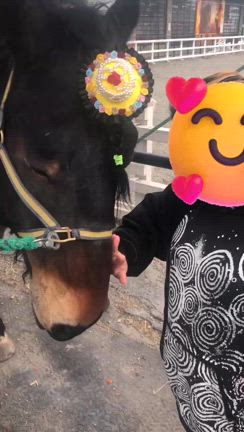 ばんえい競馬　　の記事動画