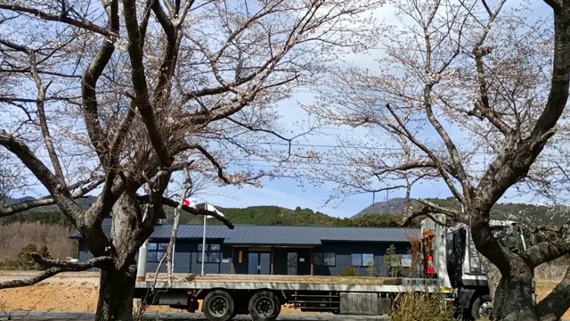 桜まんかいまであと少しの記事動画