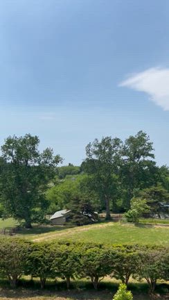 ゆらゆらと6月7日　暑さと風強めの記事動画