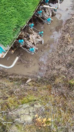 農作業日誌 お米ができるまで11 令和７年編の記事動画