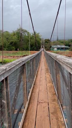 アロハカウアイ2025 ハナぺぺスウインギングブリッジの記事動画