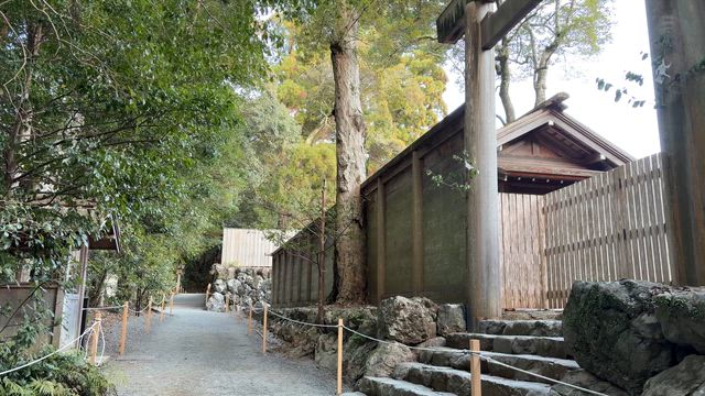 宇治橋を渡れば別世界。内宮の神秘的な空間に癒されてきましたの記事動画