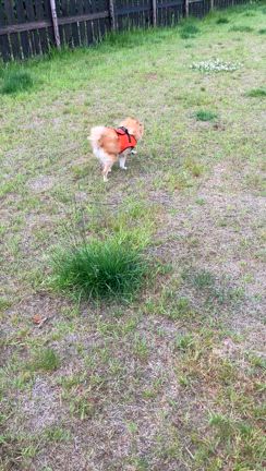 お出掛け③の記事動画