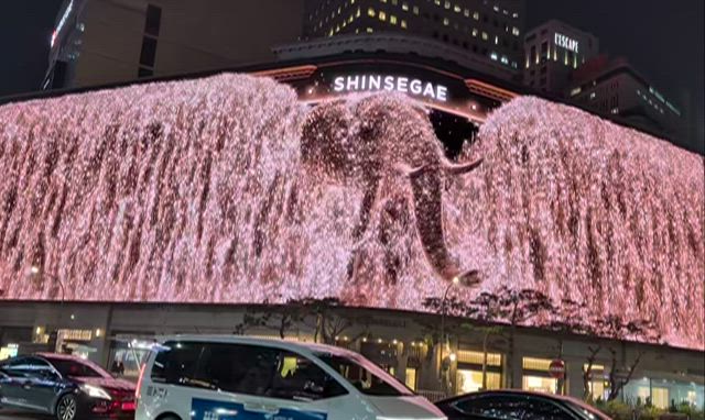 2025.11⑥ 明洞のクリスマスイルミネーションを満喫の記事動画