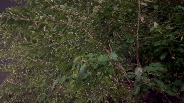 ★少しは涼しくなったのかな★の記事動画