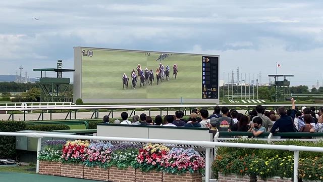#1103 ⑨月のマトメと阪神競馬場の記事動画