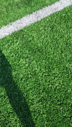 週末結果の記事動画