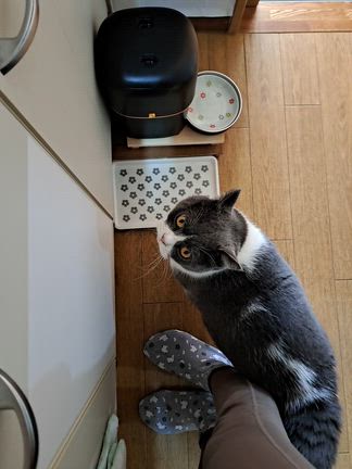 3月2日(月)ゆっくりの朝の記事動画