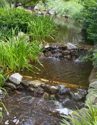 ★麻布台ヒルズで一番好きな場所 マイナスイオンと1/Fゆらぎ ヒーリング効果の記事動画