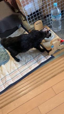 余命宣告受けました。の記事動画