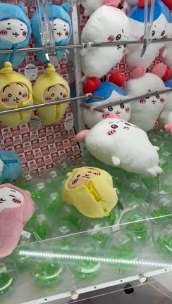 たまにはわたしの推し活を聞いて！（笑）〜ナガノのクマに始まり、ついには「ちい活」へ！の記事動画