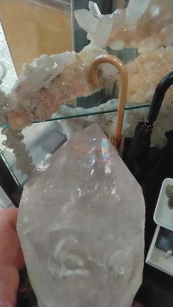 カテドラルやらの記事動画