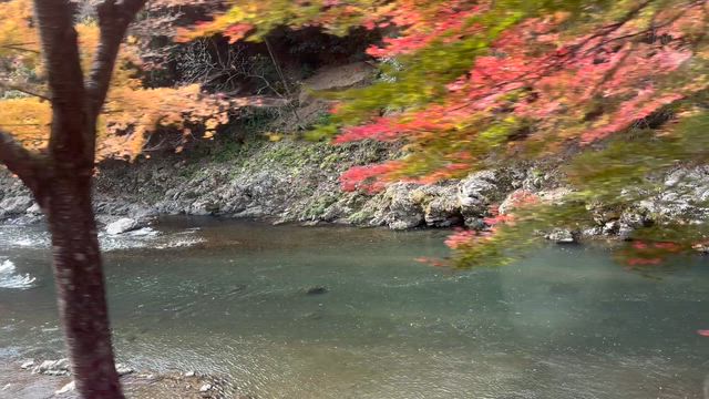 初 嵐山トロッコ列車の記事動画