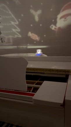 クリスマスライトの記事動画