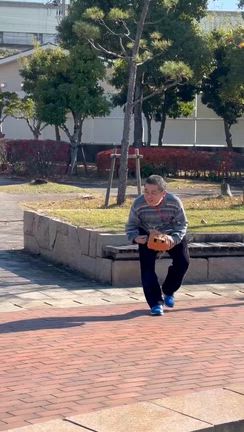 お弁当持ってピクニック③の記事動画