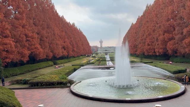 昭和の良き時代…の記事動画