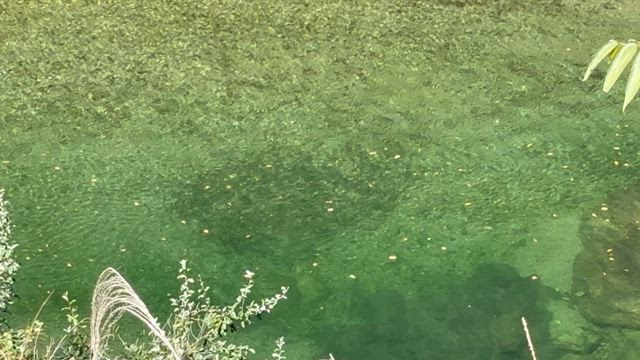 10月10日(金)の記事動画