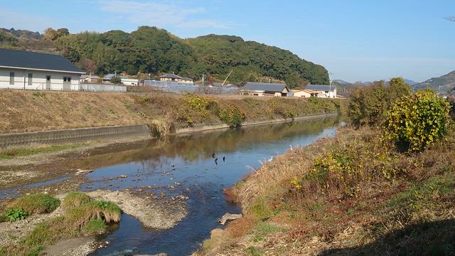 朝の景色の記事動画