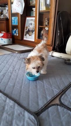 MOCOちゃんの記事動画