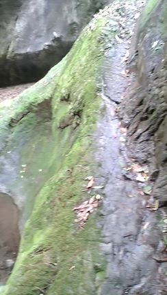 行きたかったとこ②の記事動画