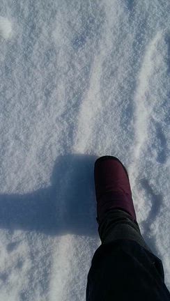 北村温泉ホテル 2泊3日☆３日目 〜朝食・道中の雪景色・餃子の王将〜の記事動画