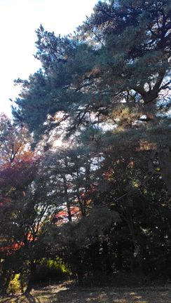 縁を大切に。の記事動画