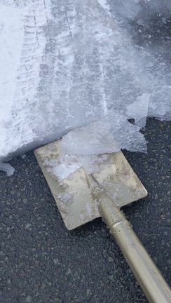 雑談〜春の音の記事動画