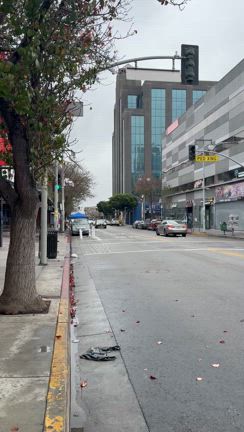 【waymo】LAで自動運転タクシーに乗ってきました【乗り方解説】の記事動画