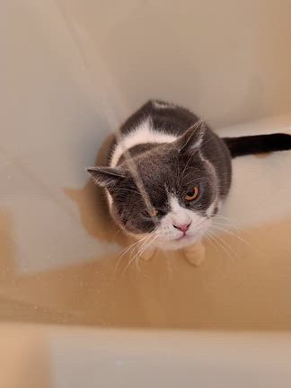 グランキューブ大阪の記事動画