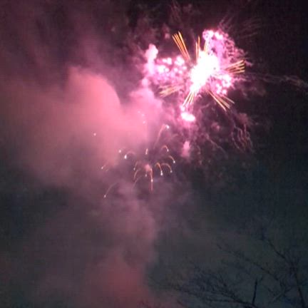 津久井湖城山公園花の苑地　イルミネーション点灯式への記事動画