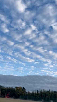 11/11 夢先生〜茨城県行方市立麻生東小学校〜の記事動画