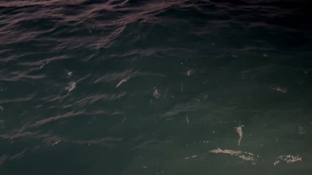 休み明けの記事動画