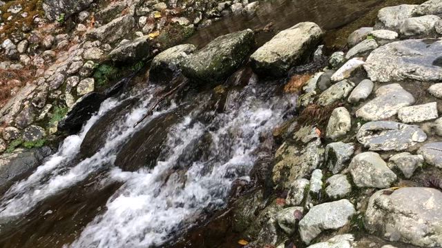 滝に癒されてきました～～～♪の記事動画