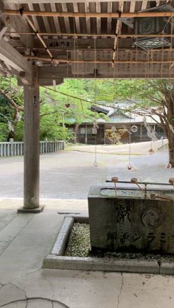 体と心の免疫力を高めましょう！函館婦人科系足つぼサロンの記事動画