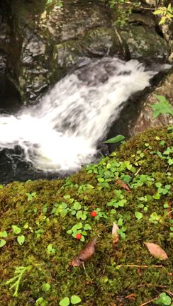 滝に癒されてきました～～～♪の記事動画