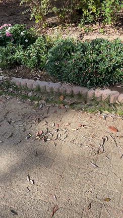 大阪の自民党さんかわいそう。。の記事動画