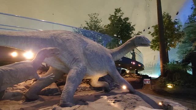 恐竜の動画の記事動画