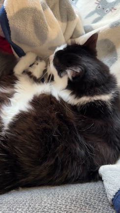 祝うべき日　時間は意識の記事動画