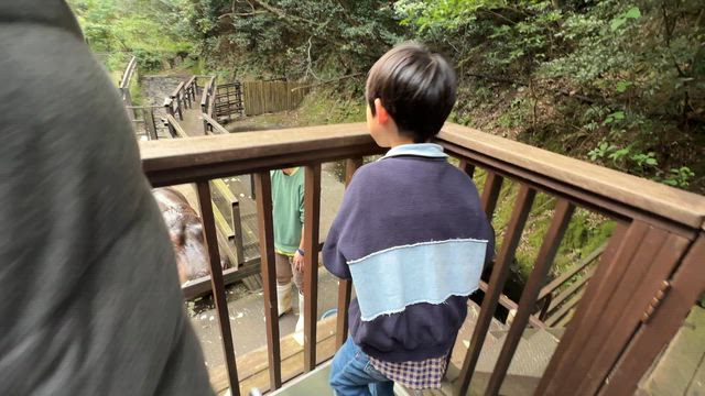 長崎バイオパーク初潜入‼️家族で味わう「ふれあい」と「驚き」の連続の記事動画