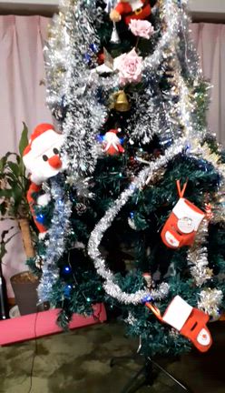 　　楽しい時間ですよ　人間以上に優しい声掛け　明るい部屋の中の記事動画