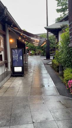 今日はコスモスさんにお世話になりましたの記事動画