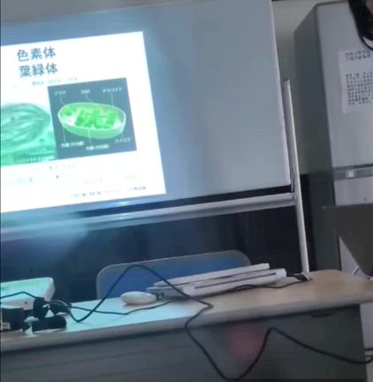 今更ですけど昨年秋のイベント。。。の記事動画