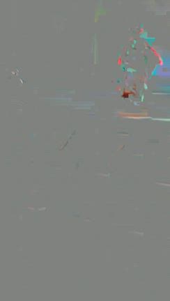 永井みゆきさんコンサートでの記事動画